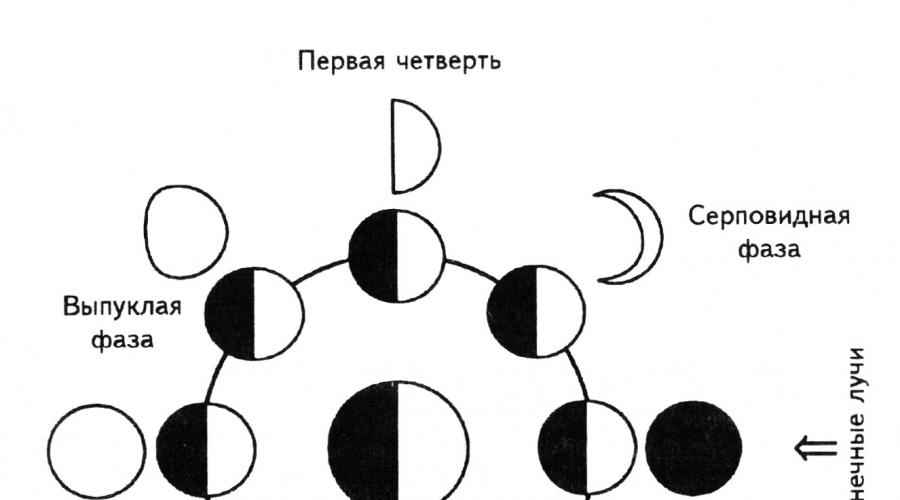 Стрижка волос по лунному календарю январь. 